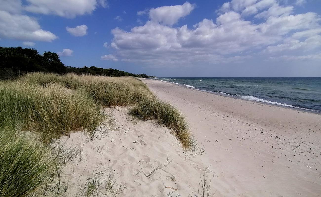 Photo de Klintholm Beach avec sable lumineux de surface