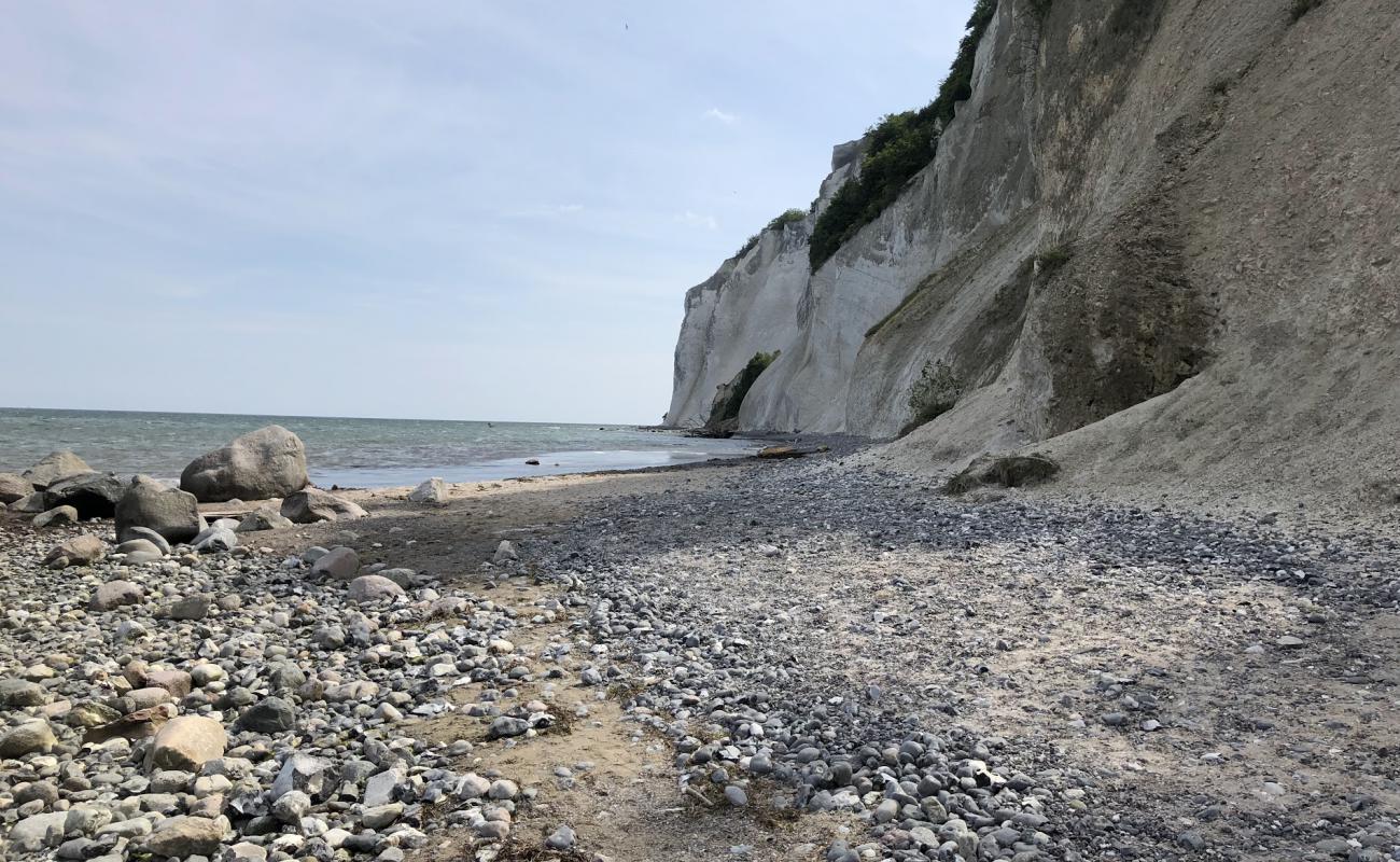 Photo de Stranden Mons Klint Beach avec caillou clair de surface