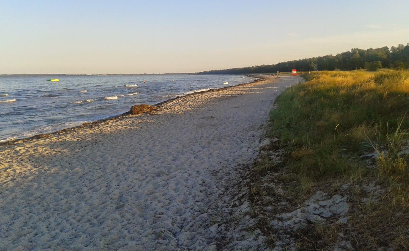 Photo de Fed Beach avec sable lumineux de surface