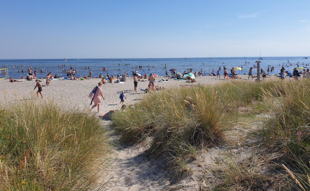 Photo de Ishoj Beach avec sable lumineux de surface