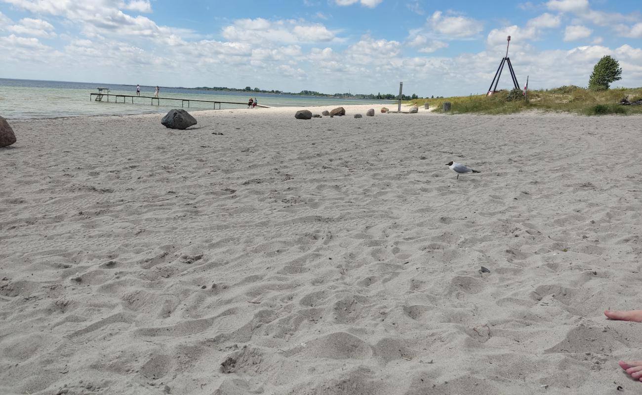 Photo de Brondby Beach avec sable lumineux de surface