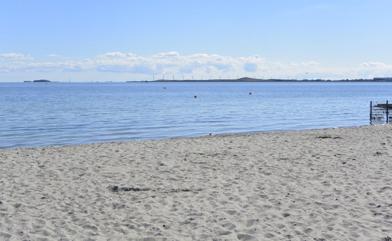 Photo de Strandlund nudist Beach avec sable lumineux de surface