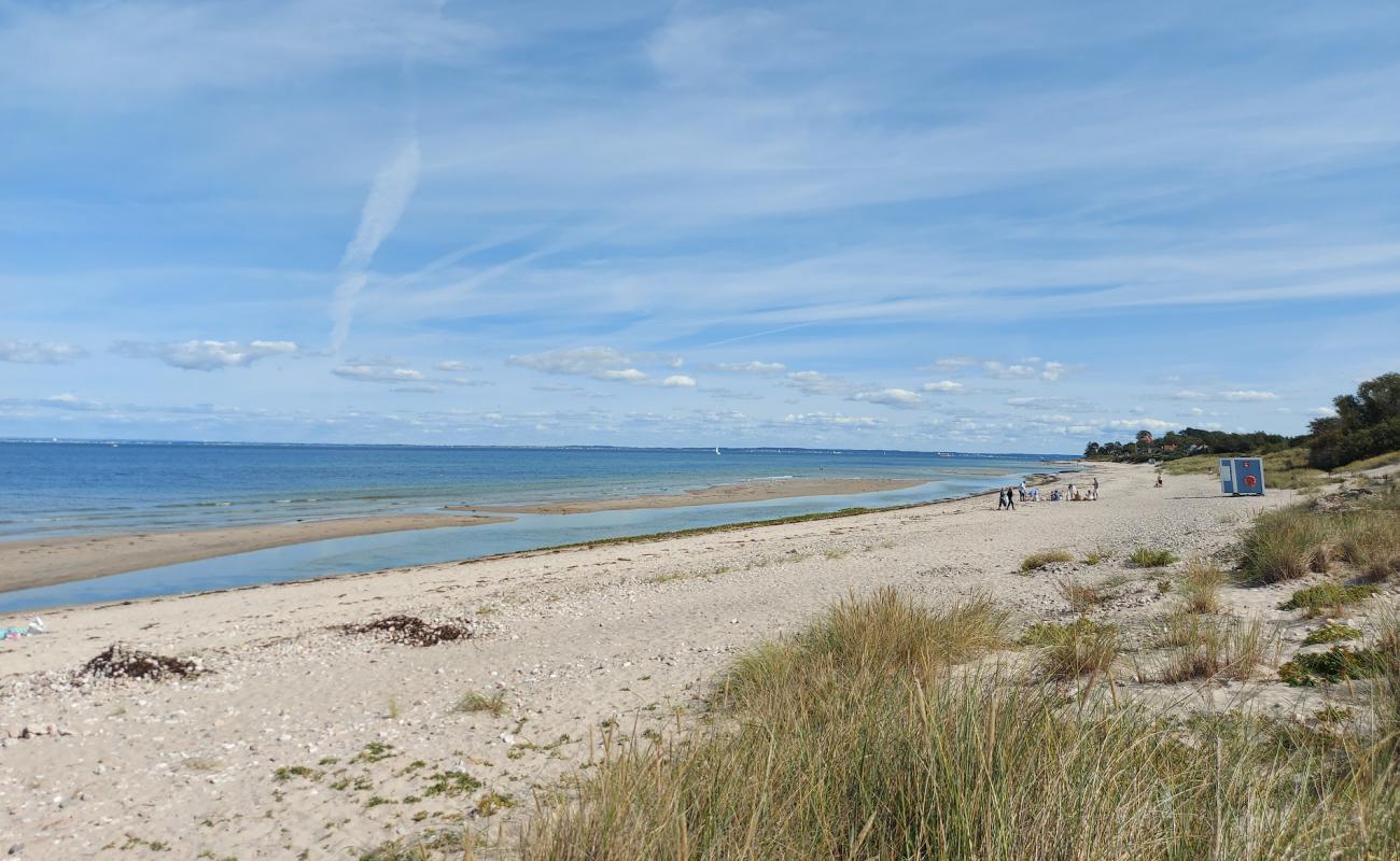 Photo de Dronningmolle Beach avec sable lumineux de surface