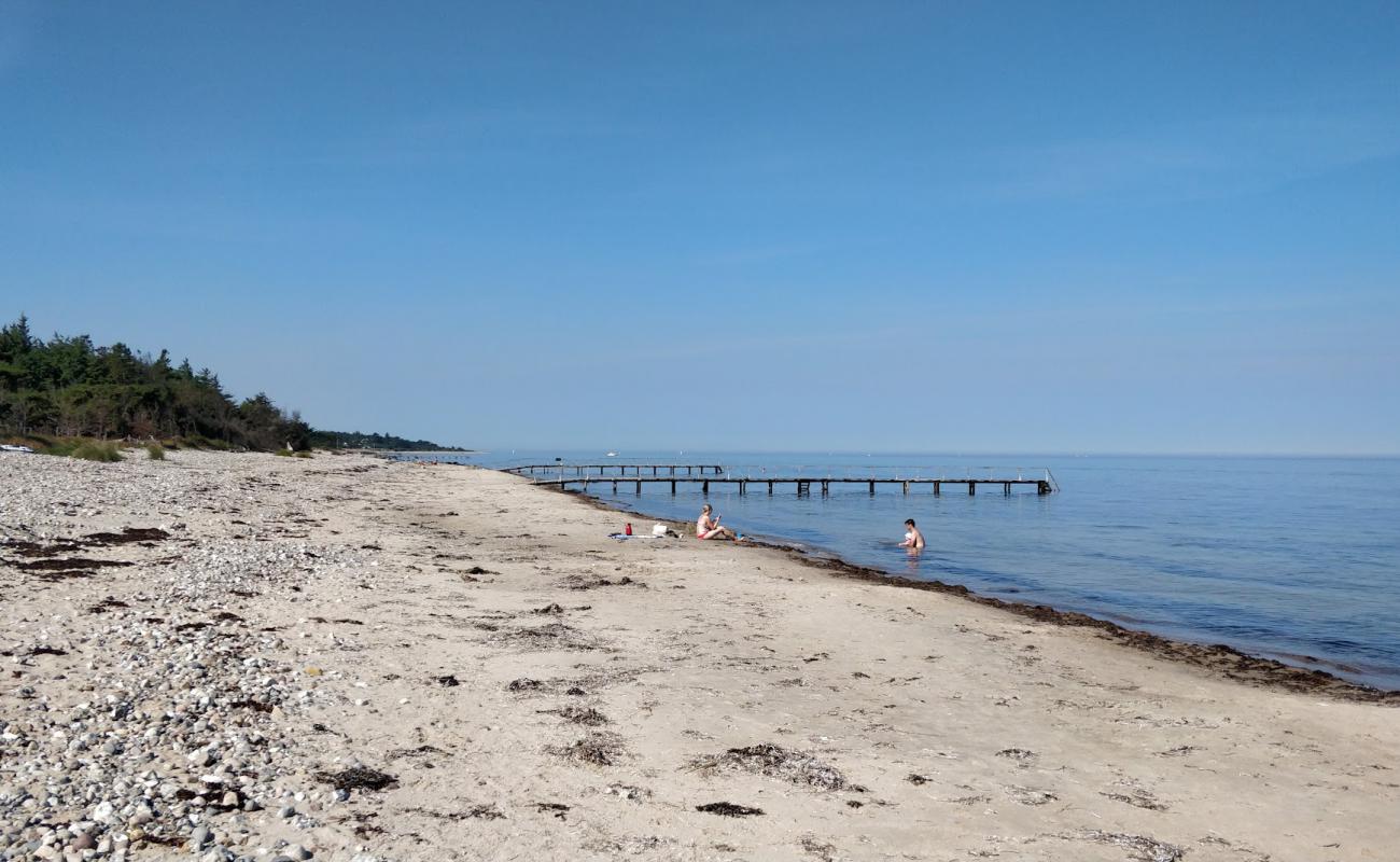 Photo de Smidstrup Beach avec sable clair avec caillou de surface