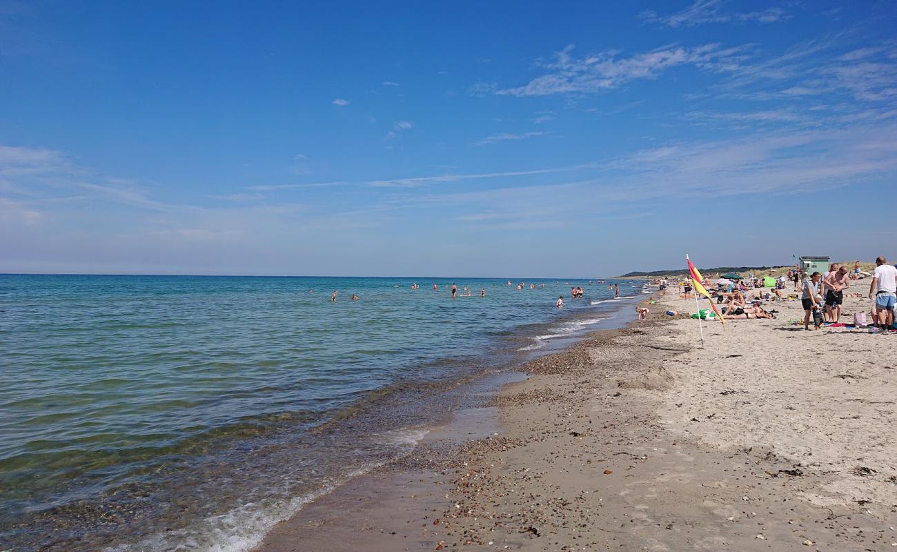 Photo de Stangehus Beach avec sable clair avec caillou de surface