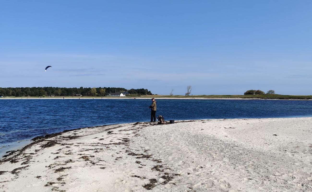 Photo de Skansehage Beach avec sable lumineux de surface