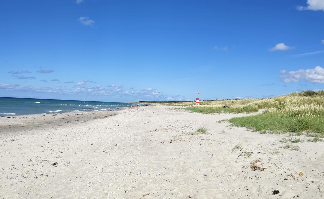 Photo de Rorvig Beach avec sable lumineux de surface