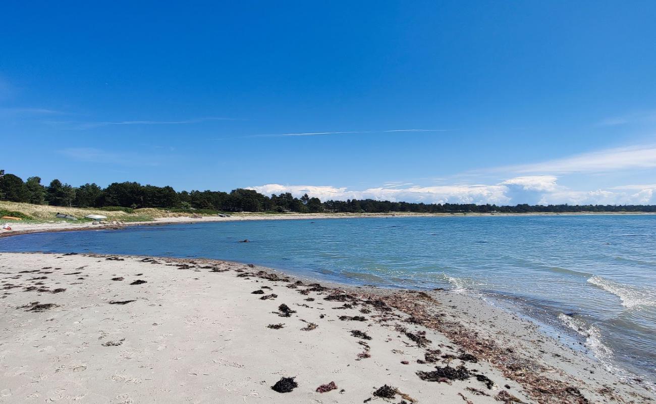 Photo de Tengslemark Beach avec sable lumineux de surface