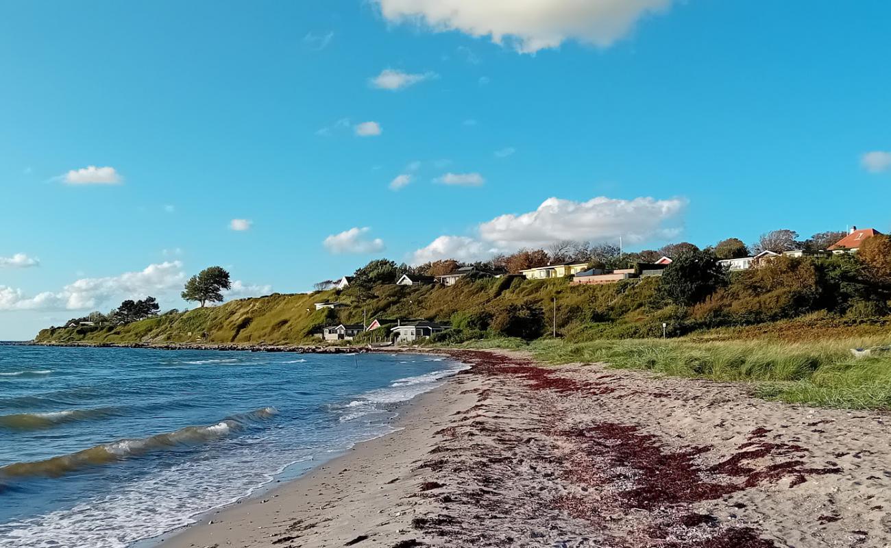 Photo de Naesby Beach avec sable lumineux de surface