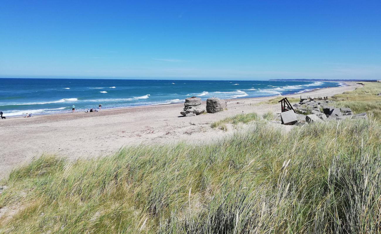 Photo de Plage de Thorup avec sable lumineux de surface