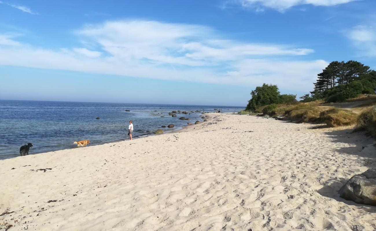 Photo de Hasle Strand avec sable lumineux de surface