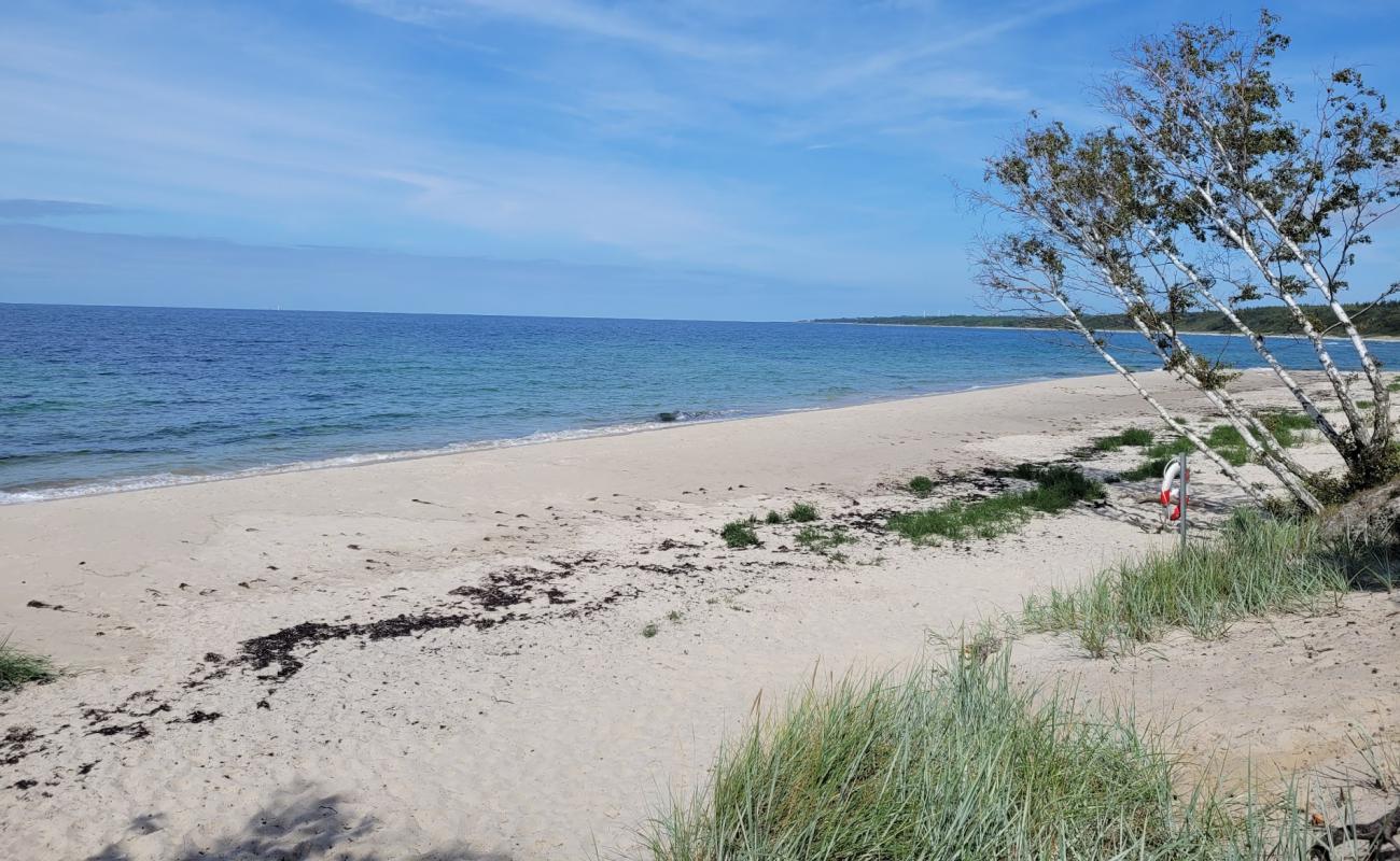 Photo de Antoinette Beach avec sable lumineux de surface