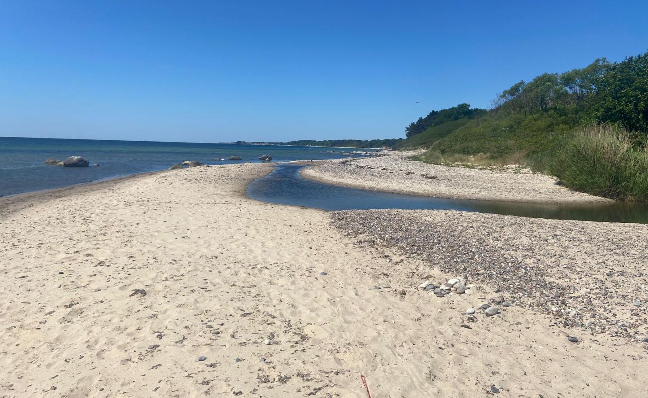 Photo de Strand Molle Odde avec sable lumineux de surface