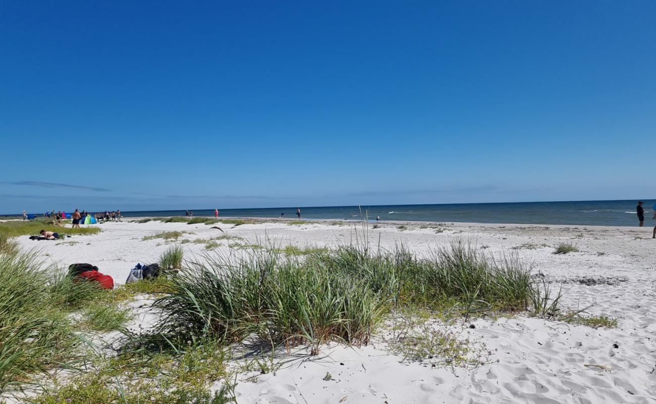 Photo de Dueodde Beach avec sable blanc de surface