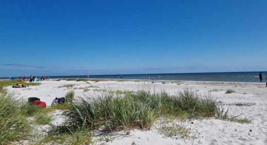 Dueodde Beach