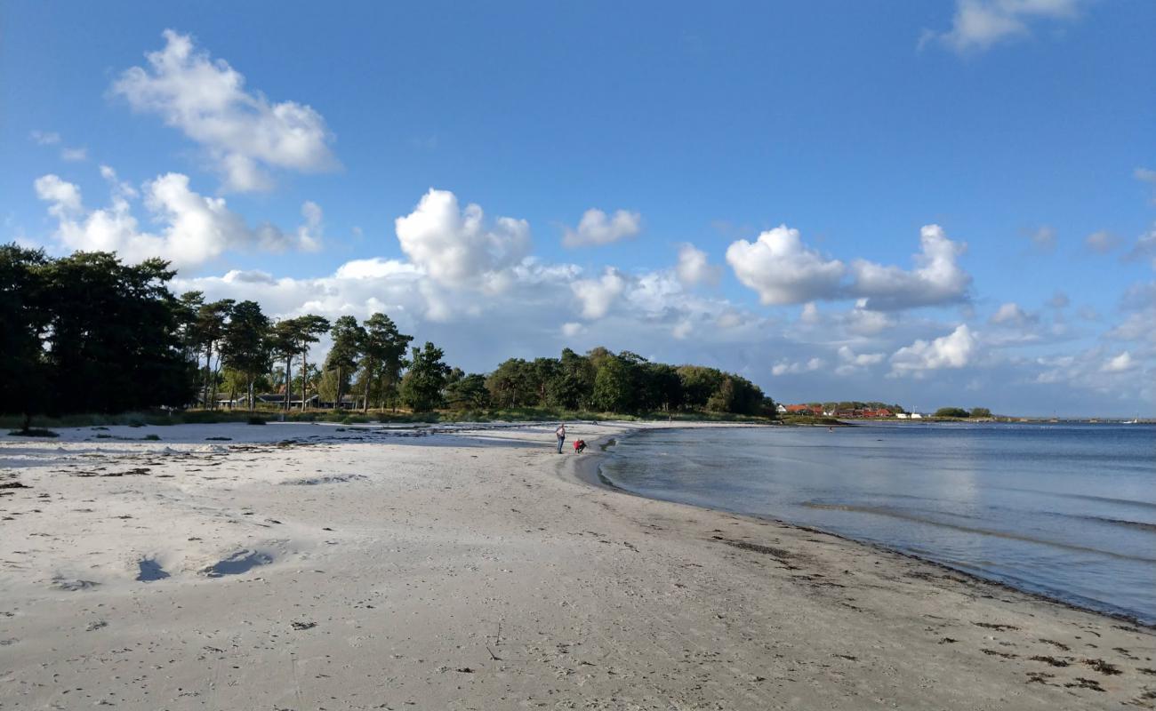 Photo de Snogebaek Strand avec sable lumineux de surface