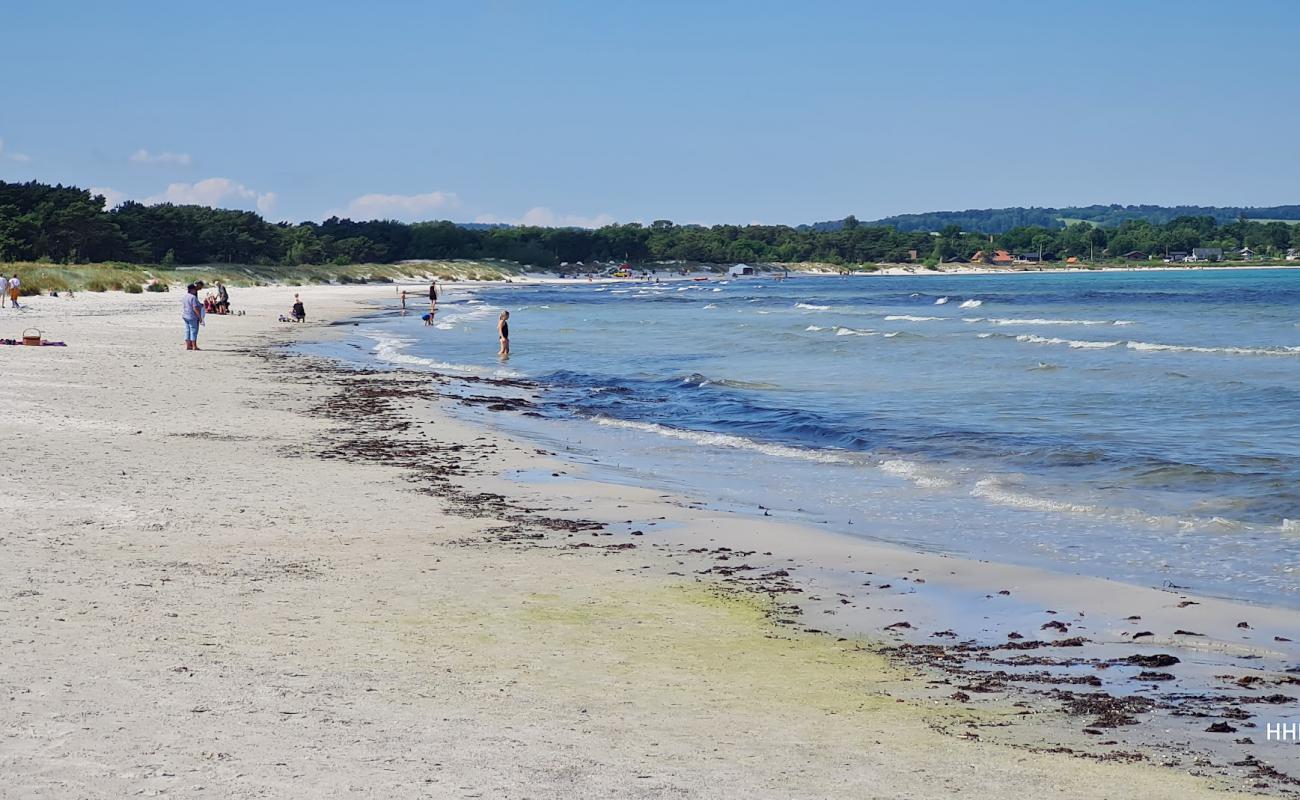 Photo de Balka Strand Bornholm avec sable lumineux de surface