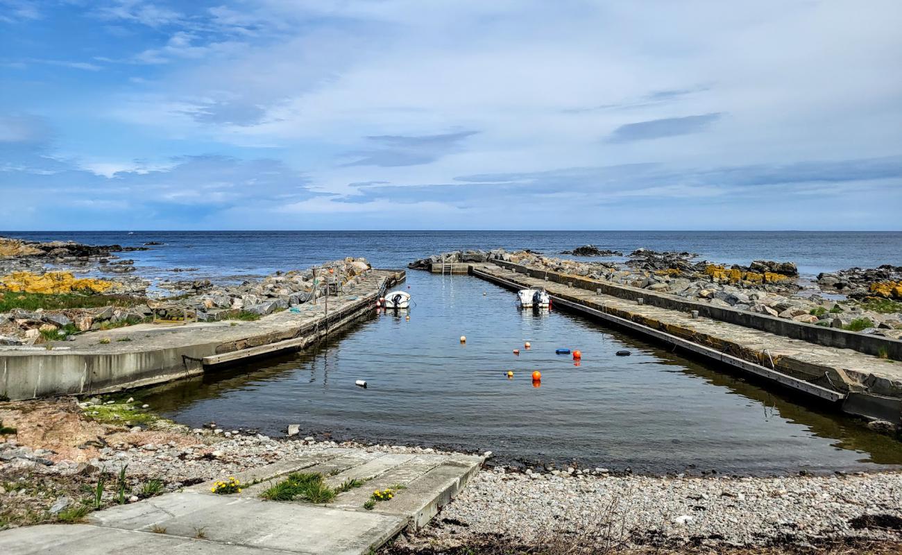 Photo de Bolshavn Havn Beach avec roches de surface