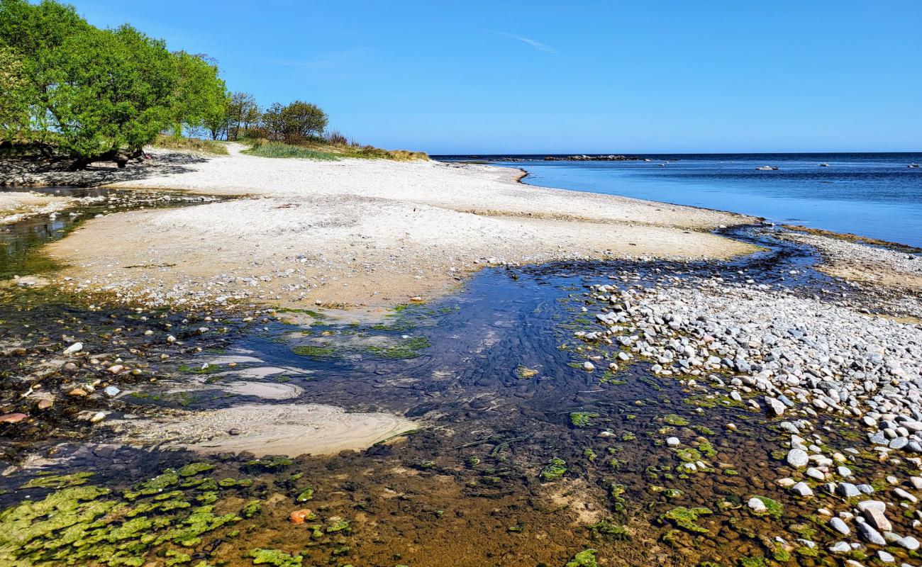 Photo de Melsted Beach avec sable lumineux de surface