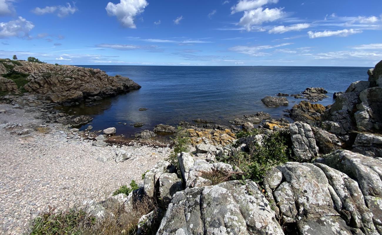 Photo de Gudhjem Beach avec roches de surface