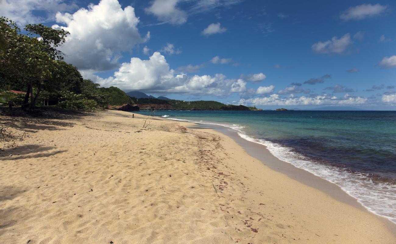 Photo de La Taile Bay Beach avec sable brun de surface