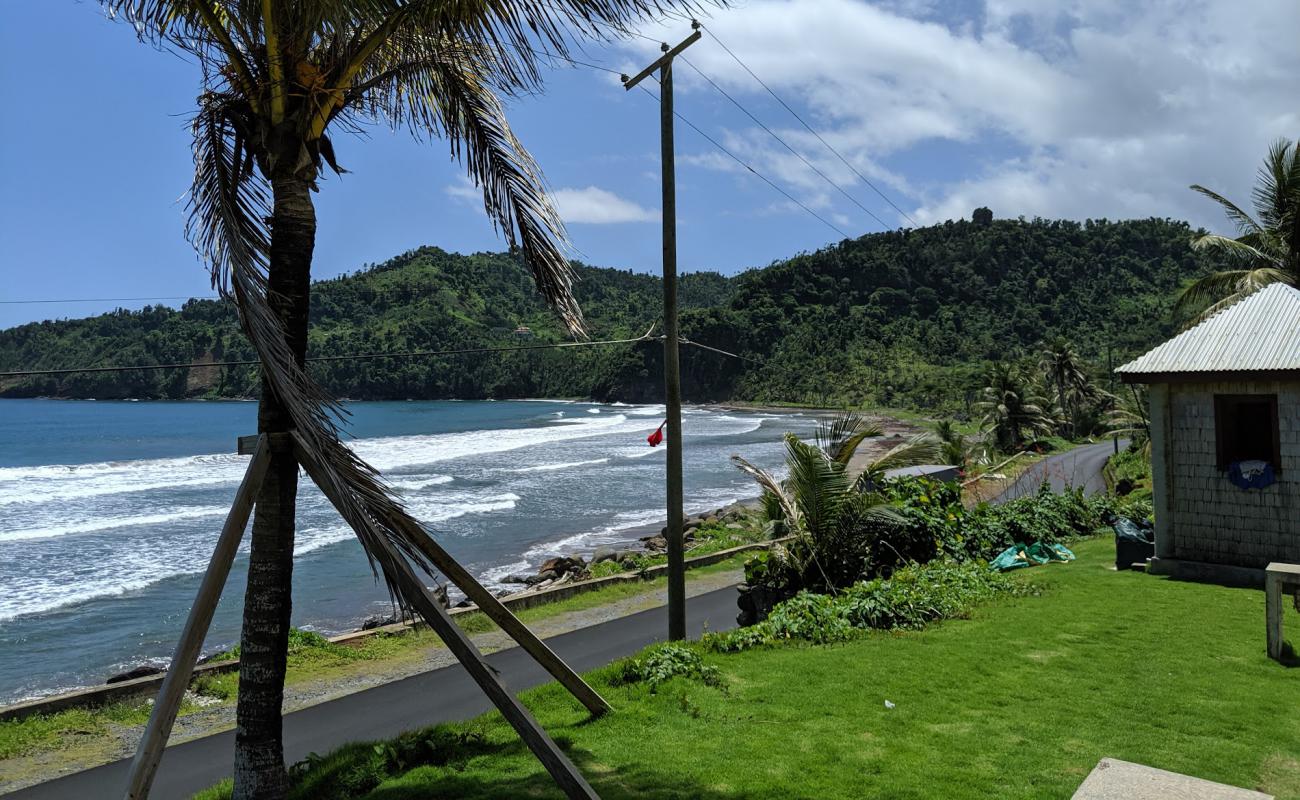 Photo de Pagua Bay Beach avec sable gris de surface