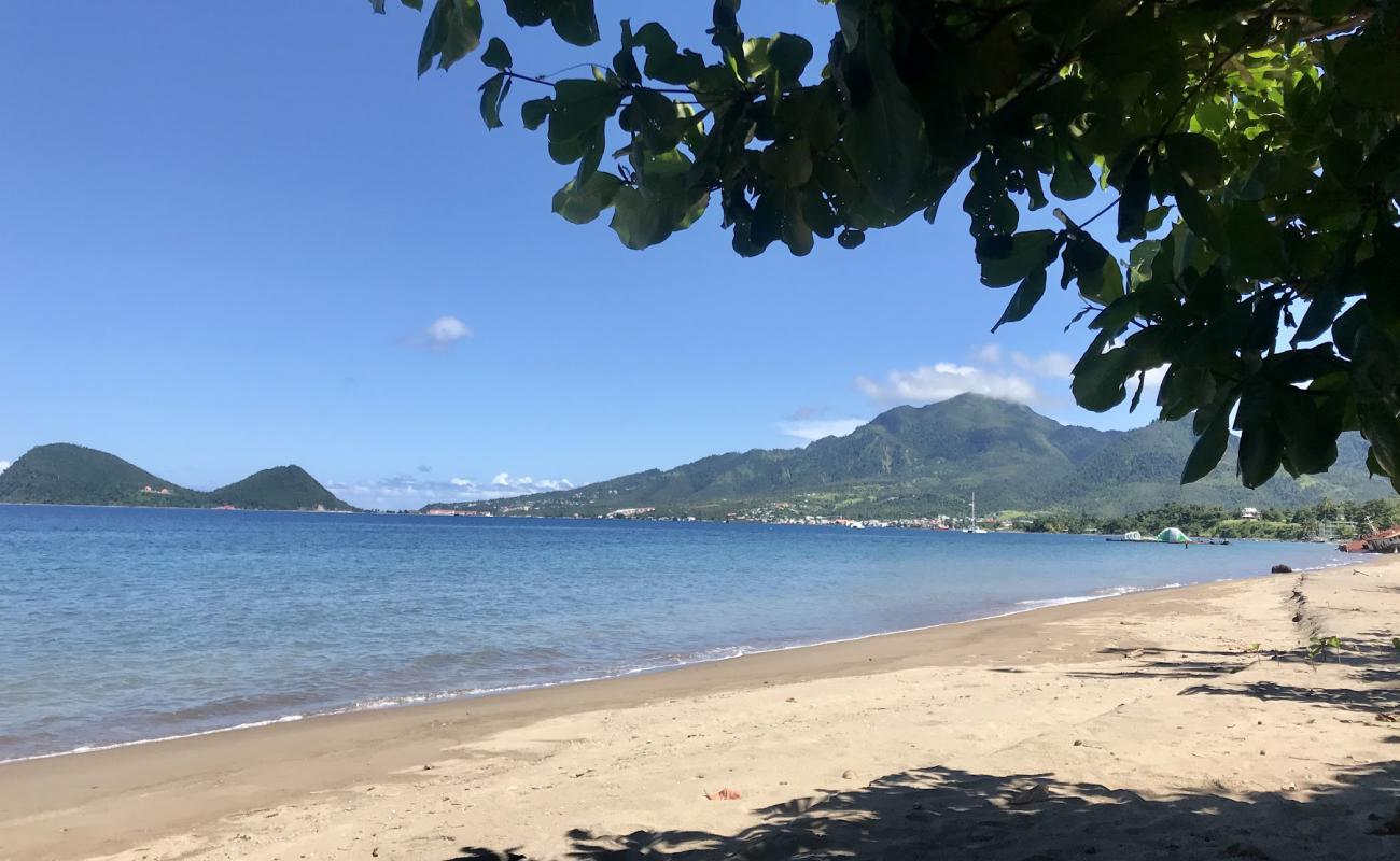 Photo de Coconut Beach avec sable brun de surface