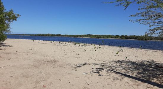 Playa Estero Balsa