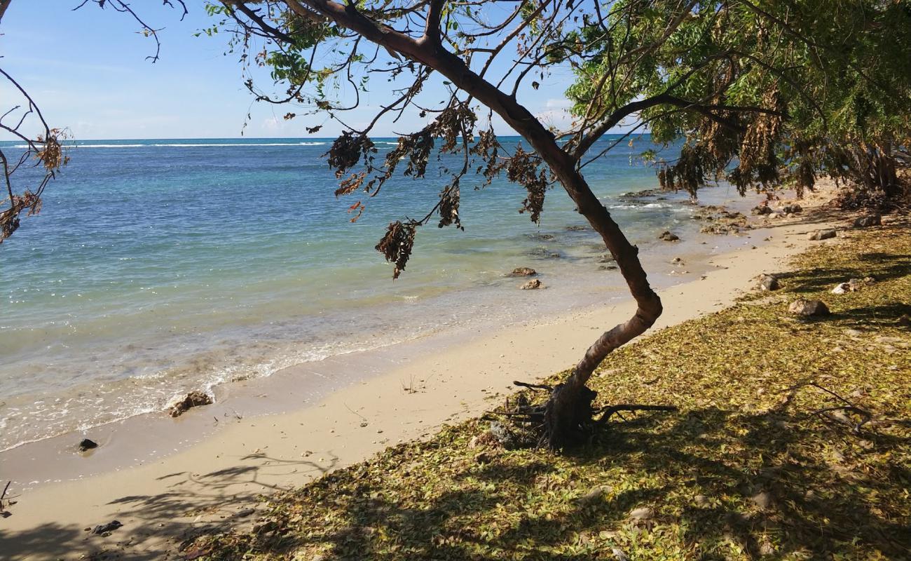 Photo de Playa El Castillo avec sable beige de surface