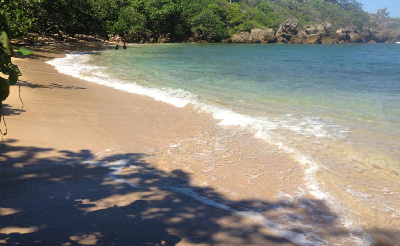 Photo de Playa Delfin avec sable beige de surface