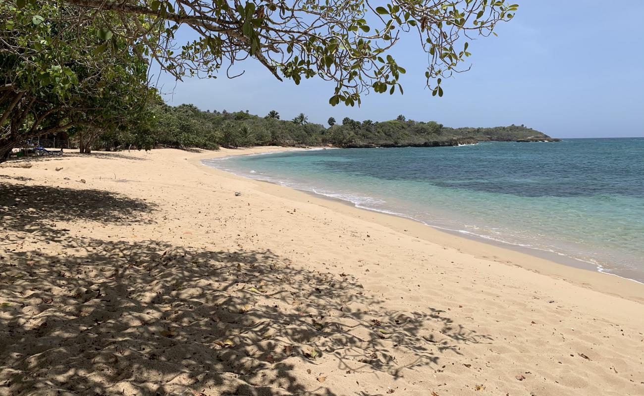Photo de Playa Larga avec sable beige de surface