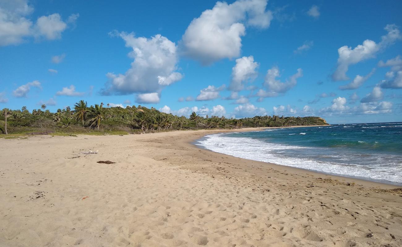 Photo de Playa Guzmancito avec sable beige de surface