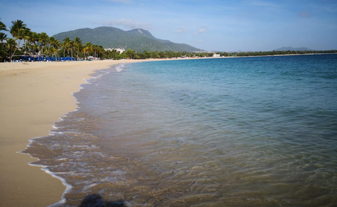 Photo de Plage Dorada avec sable fin et lumineux de surface