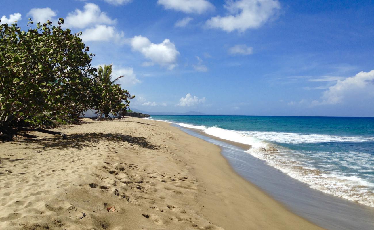 Photo de Laguna beach avec sable fin et lumineux de surface