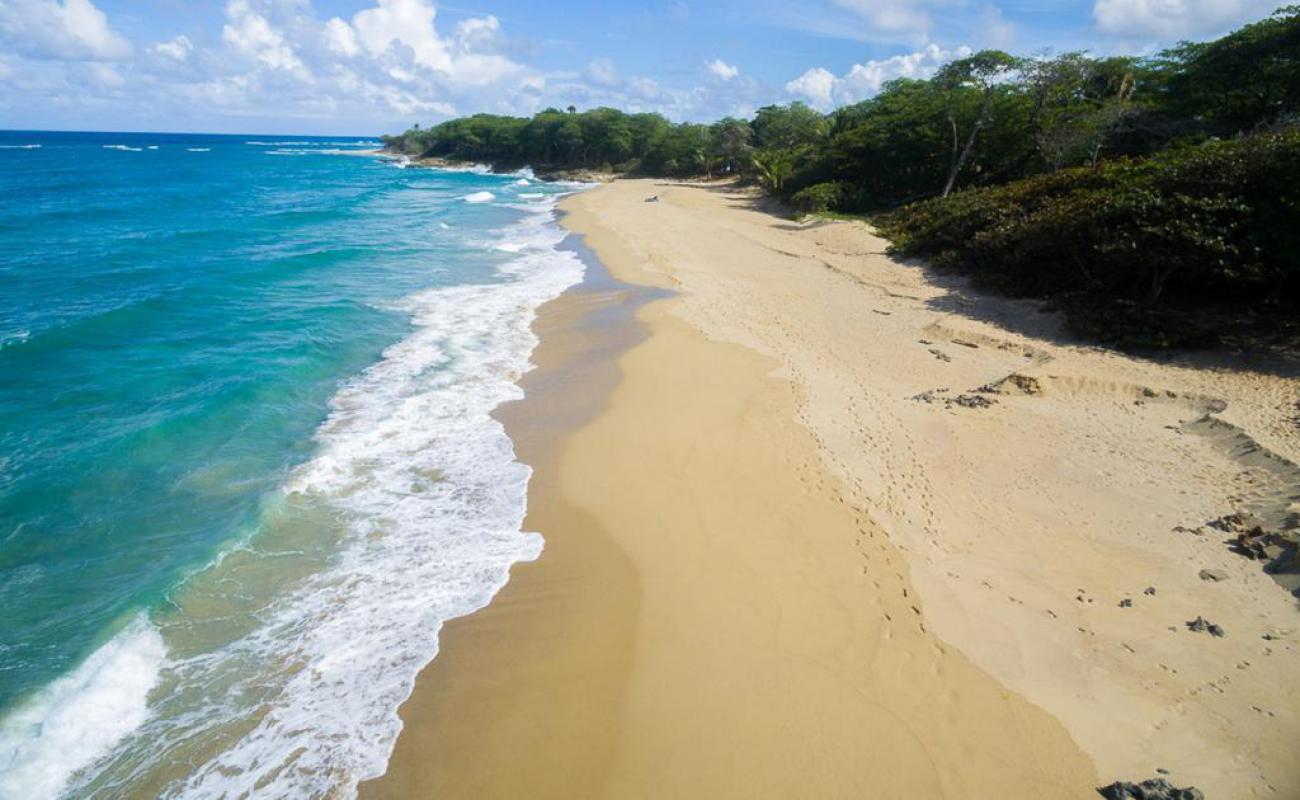 Photo de Playa perla marina avec sable lumineux de surface