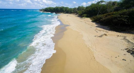 Playa perla marina