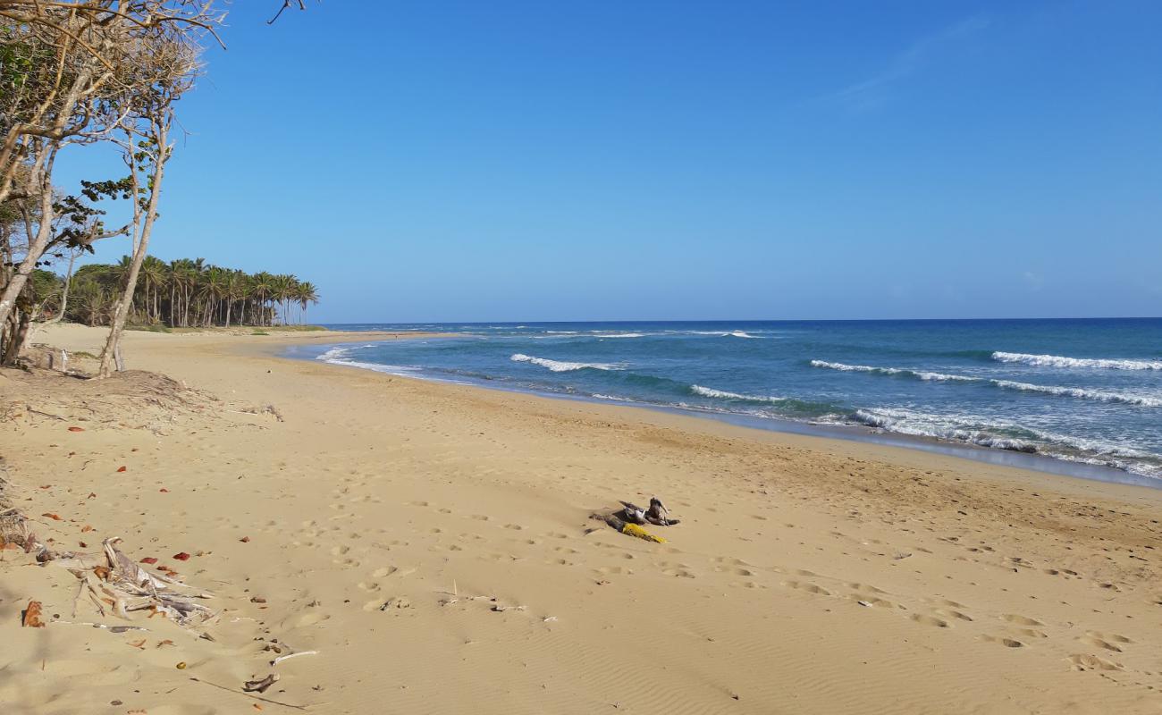 Photo de Playa Encuentro avec sable fin et lumineux de surface