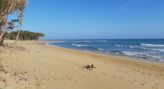 Playa Encuentro