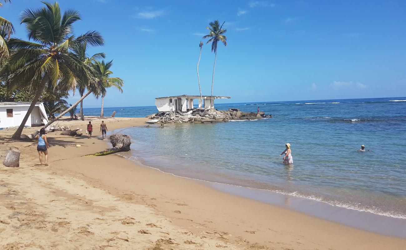 Photo de Playa los Gringos avec sable beige fin de surface