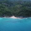 Playa William