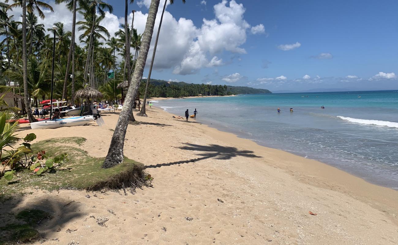 Photo de Plage de Las Terrenas avec sable beige de surface