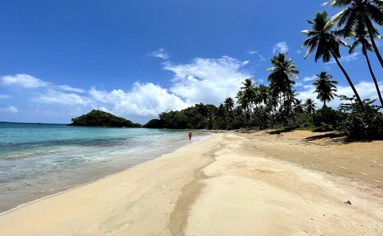Photo de Playa Escondida avec sable beige de surface