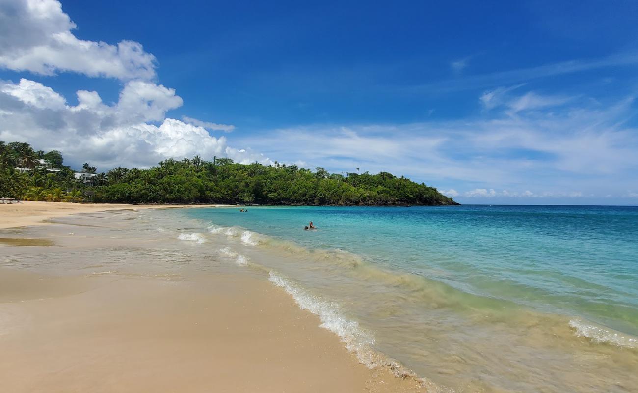 Photo de Plage de Las Ballenas avec sable fin et lumineux de surface