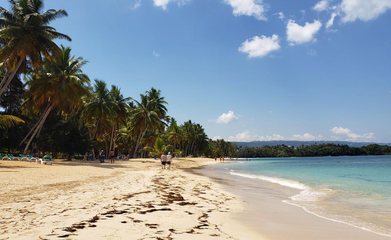 Photo de Playa Las Terrenas avec sable lumineux de surface