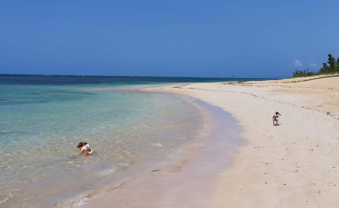 Photo de Playa El Portillo avec sable beige fin de surface