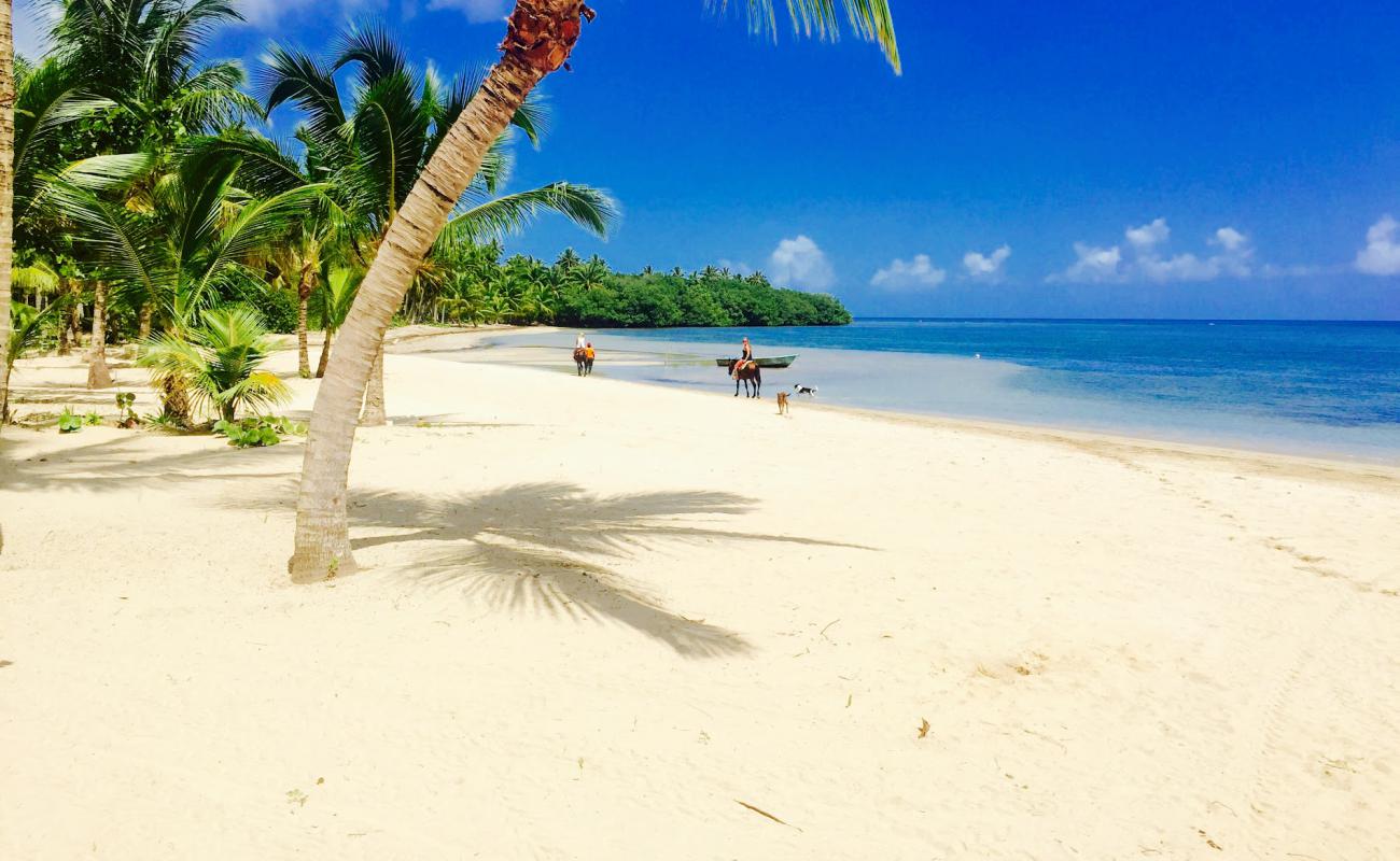 Photo de Playa Estillero avec sable fin et lumineux de surface