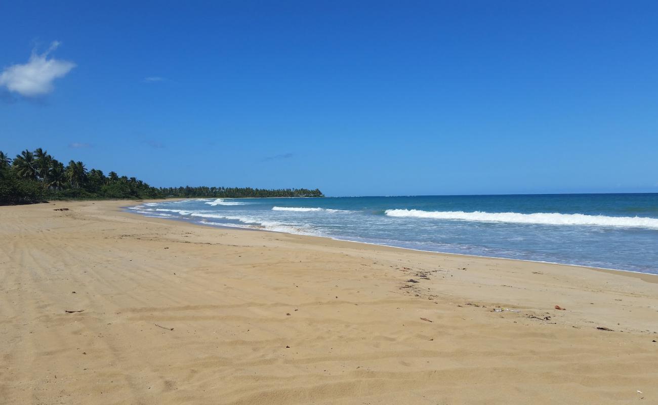 Photo de Playa El Limon avec sable fin et lumineux de surface