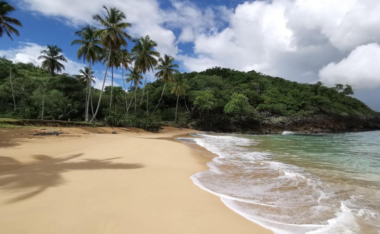 Photo de Playa Moron avec sable fin et lumineux de surface