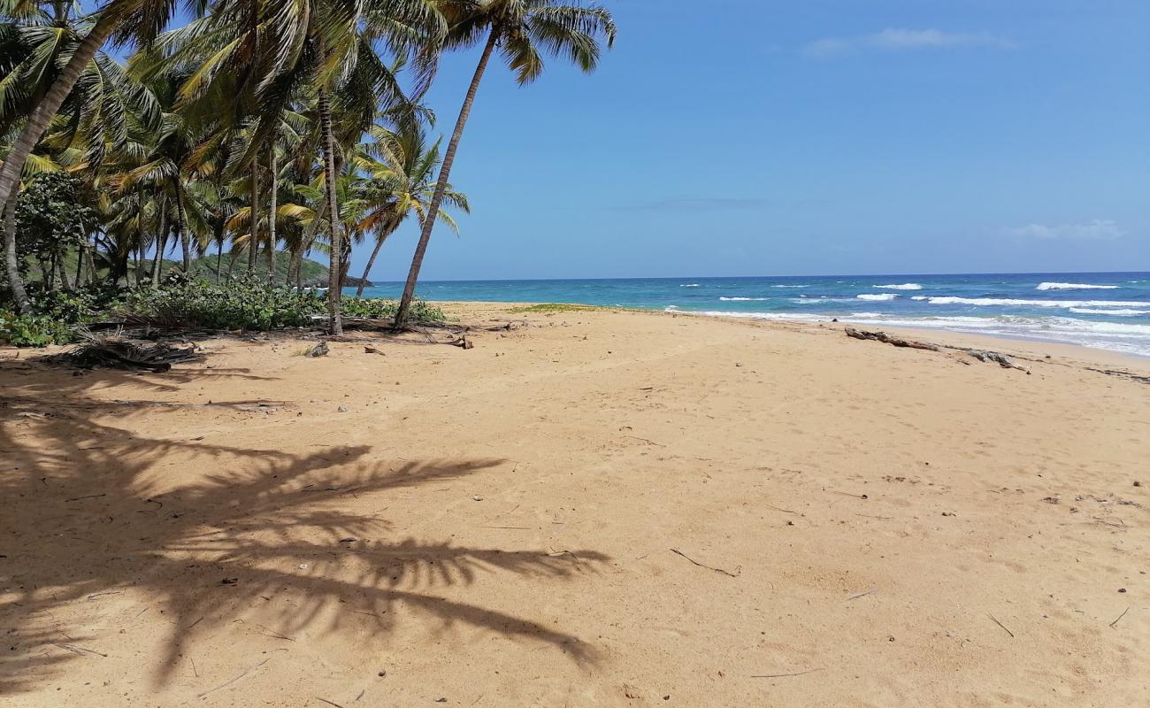 Photo de Playa Lanza del Norte avec sable fin brun de surface