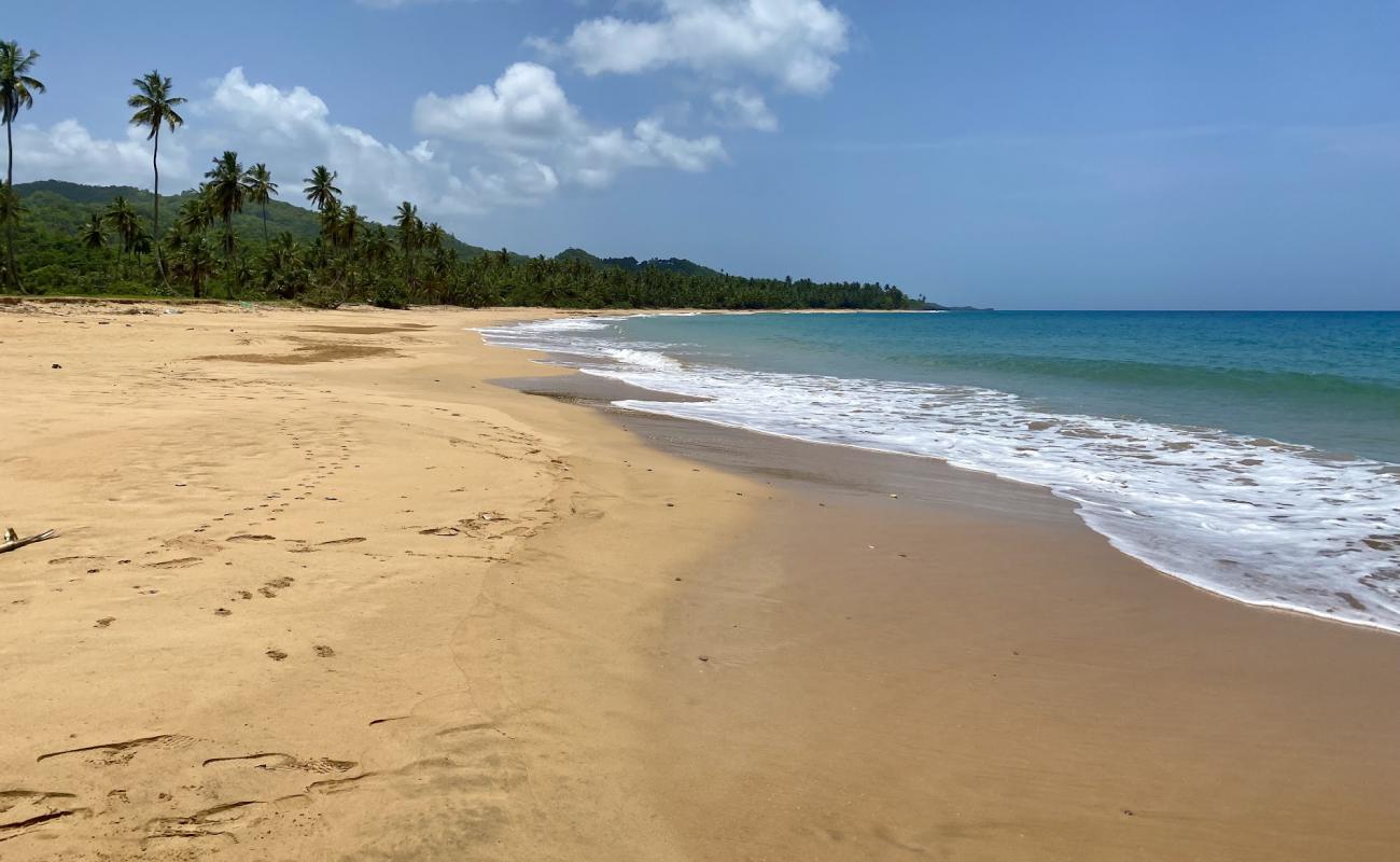 Photo de Playa la Cana avec sable fin brun de surface